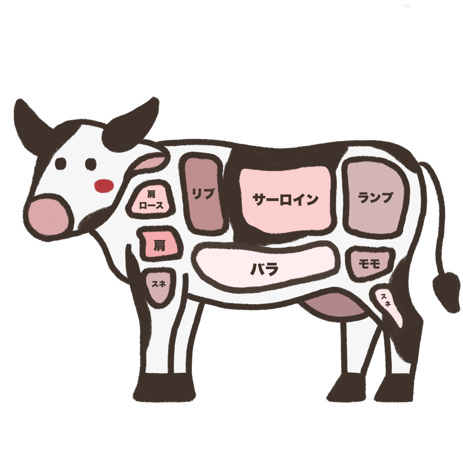 牛肉部位図
