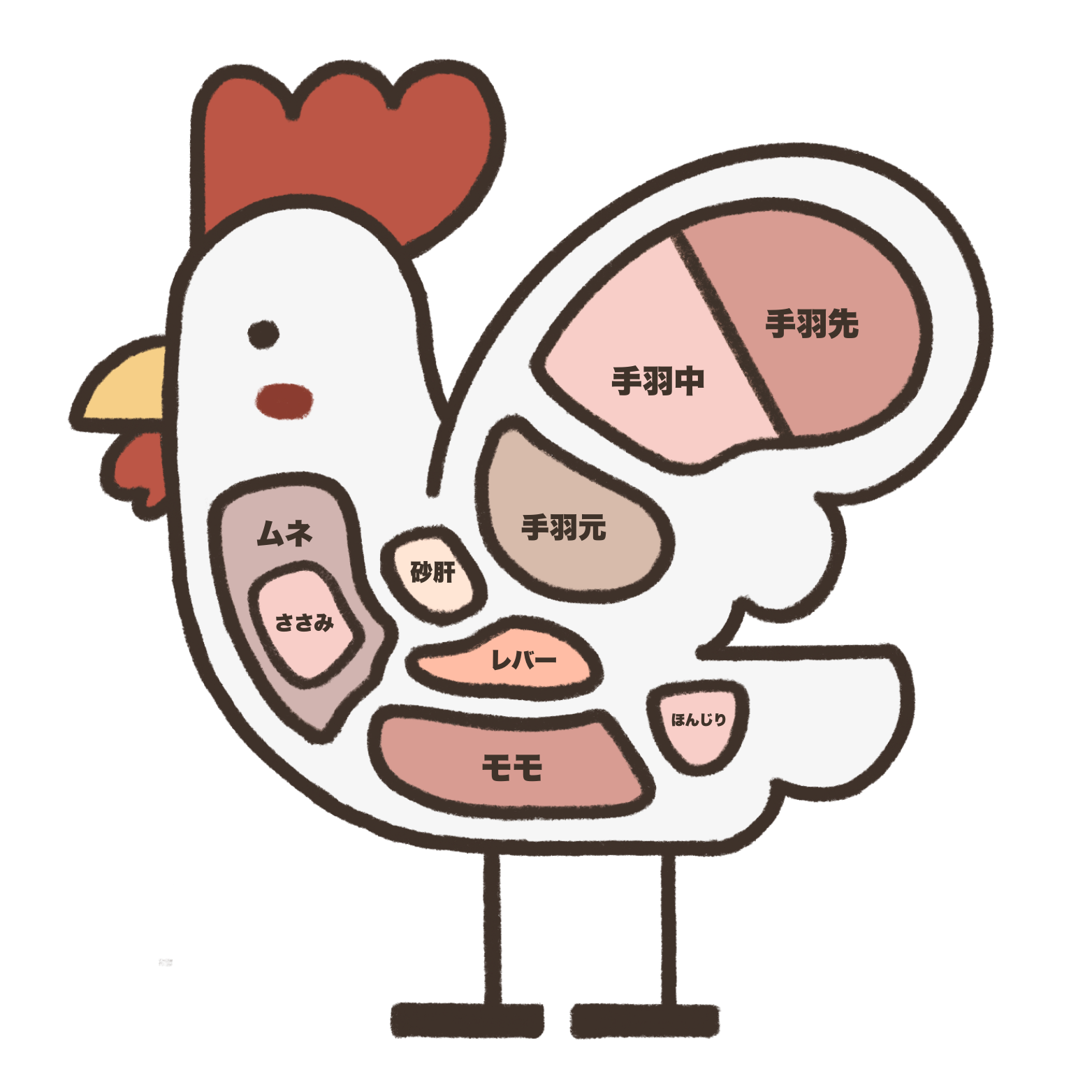 鶏肉部位図