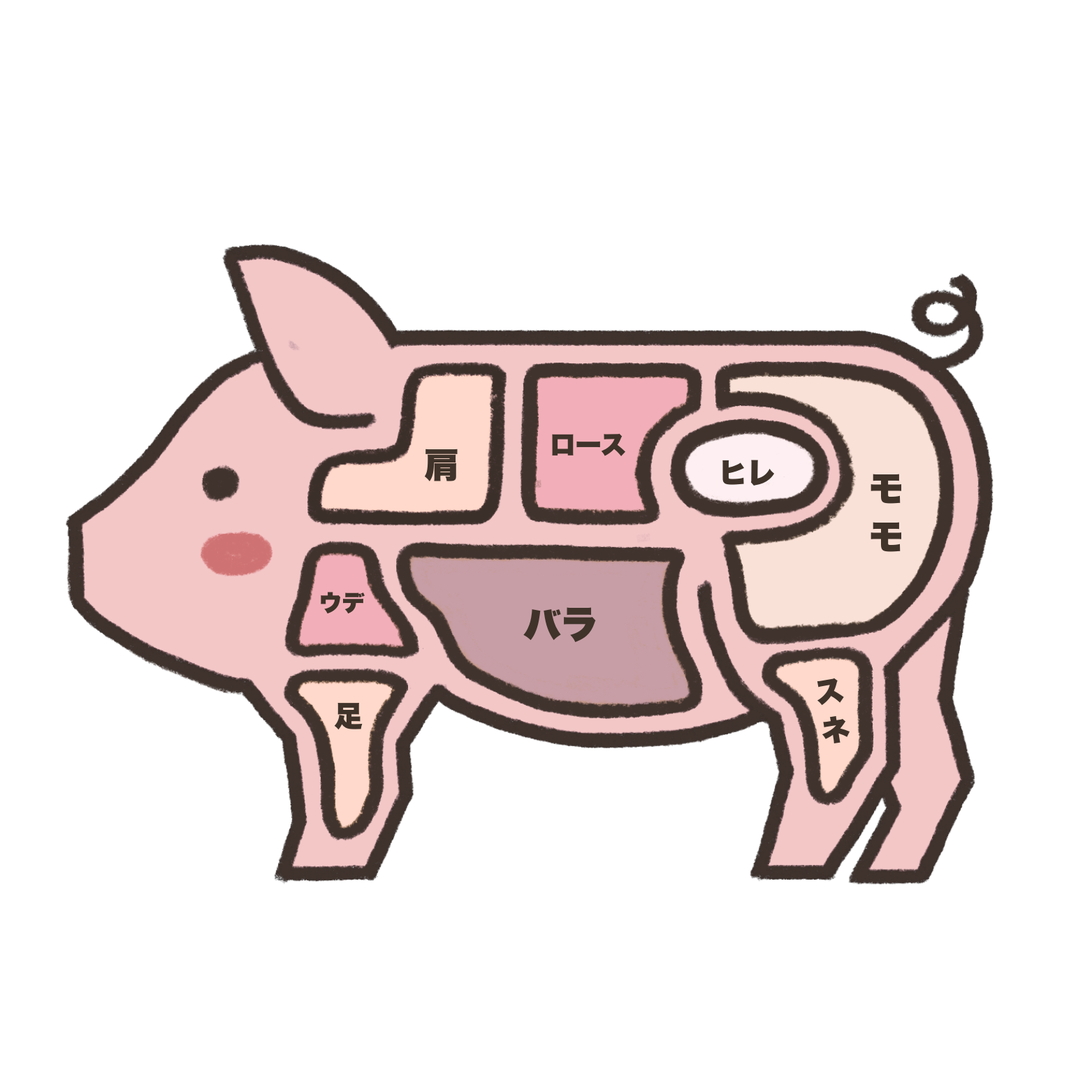 豚肉部位図